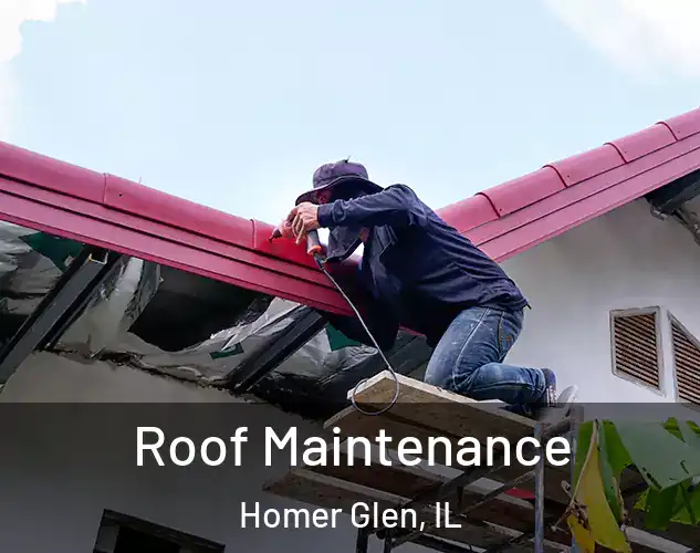  Roof Maintenance Homer Glen, IL