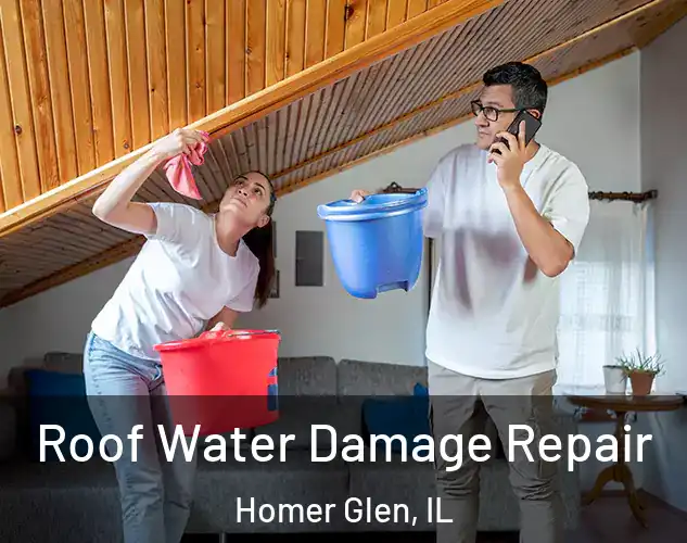  Roof Water Damage Repair Homer Glen, IL